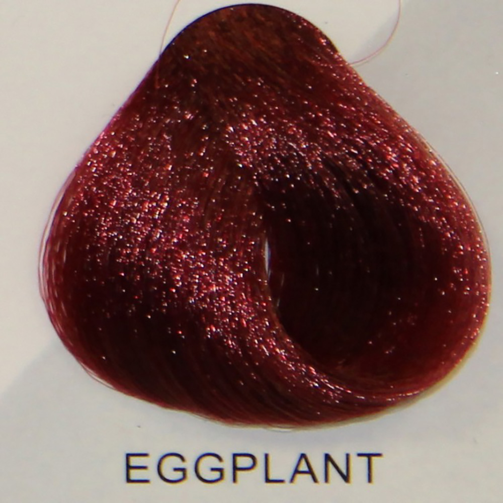 STARGAZER Eggplant