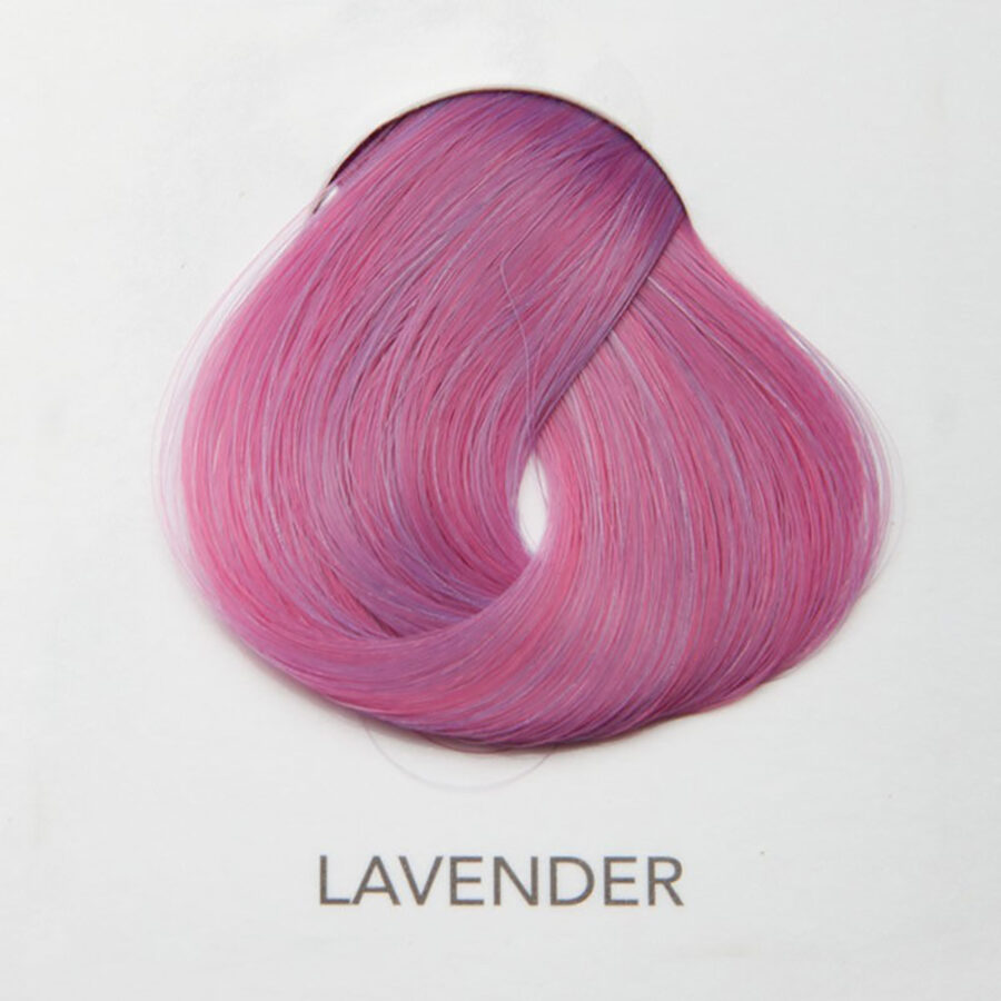 STARGAZER Lavender