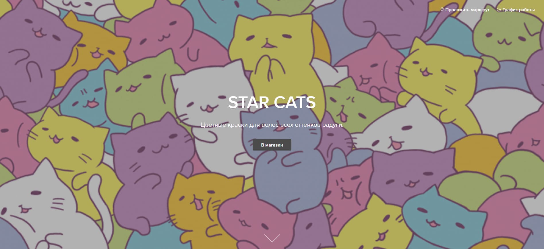 О нас — Star Cats